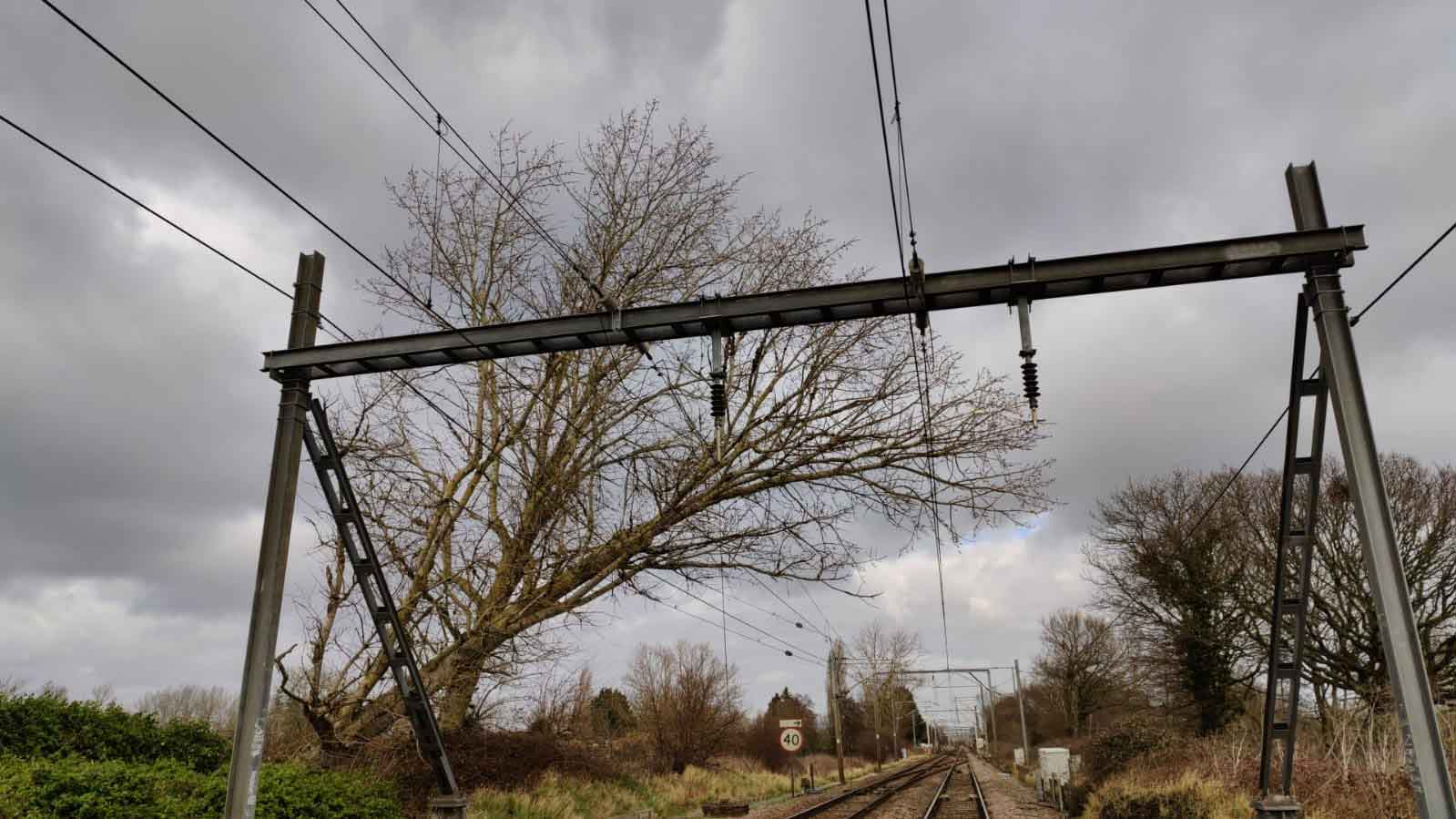 Brighton: Railway line to Lewes blocked due to fallen tree